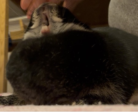 7B53D994-34A6-4443-BCC3-D9A262133F21