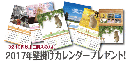 2017calendar