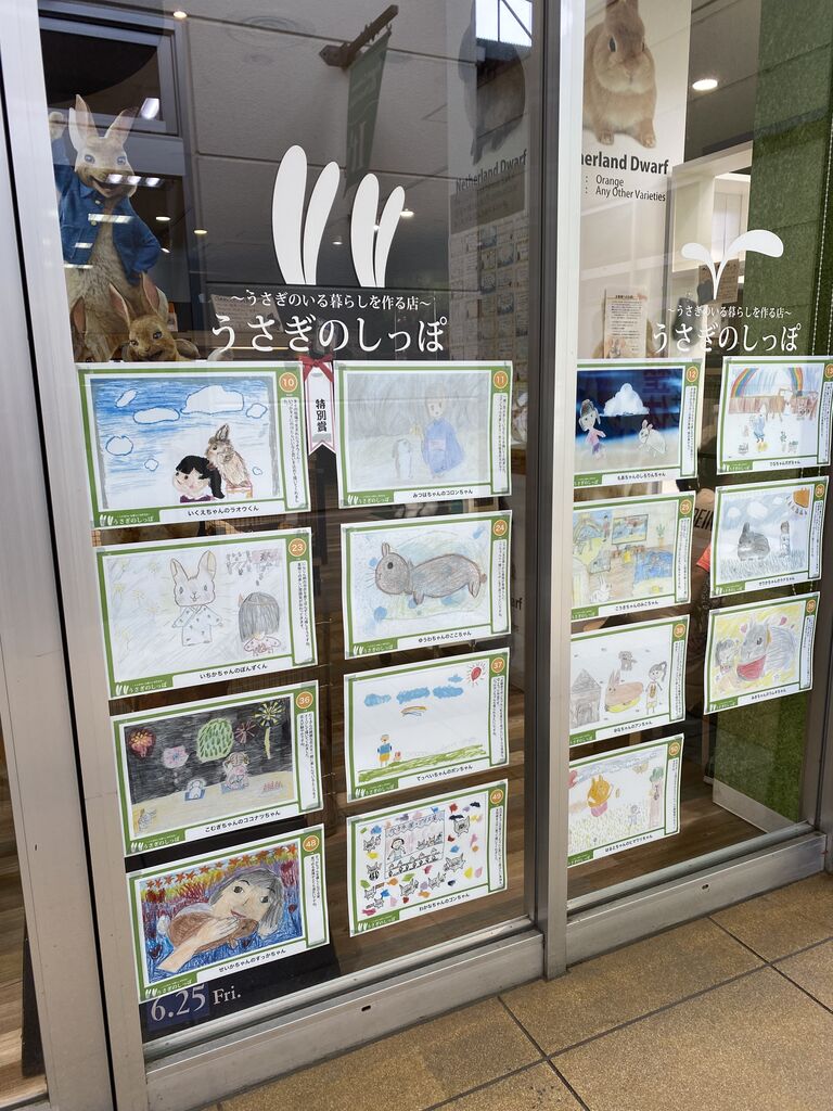うさぎブログ うさぎのしっぽ公式ブログ 日々しっぽ 海老名店 Livedoor Blog ブログ うさぎブログ うさぎのしっぽ公式ブログ 日々しっぽ 海老名店 Livedoor Blog ブログ