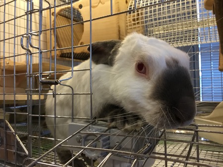 29310246-E410-4E48-83D0-2146C603153A