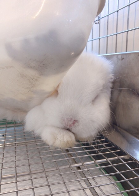 6AE90027-1BCF-47E7-8714-D1F8AAA32524