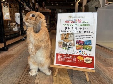 予告！うさフェスタ前売りチケット : うさぎブログ うさぎのしっぽ公式