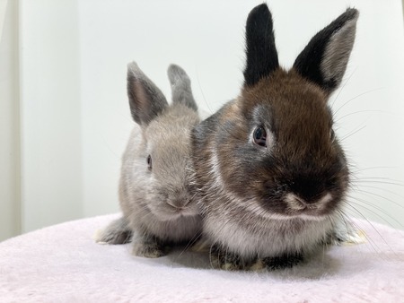 DA63E2D3-6E3D-45AD-982D-64A218333096