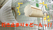 BlogPaint
