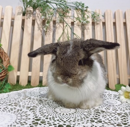 A1E6CAB3-30DE-4A94-AA80-2FA361A33464