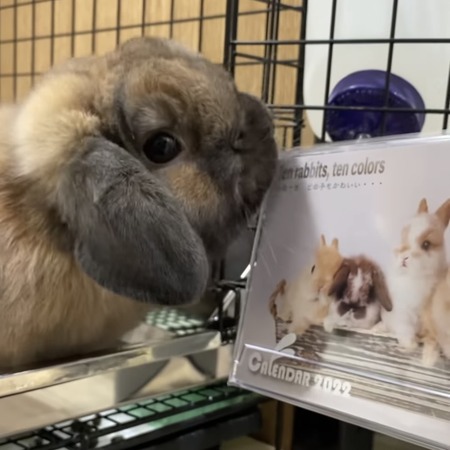 77CC7713-BABA-42D1-8A32-390BC0854EFA