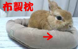 うさぎブログ うさぎのしっぽ公式ブログ 日々しっぽ 寝たきりにさせない工夫 うさ枕の開発依頼