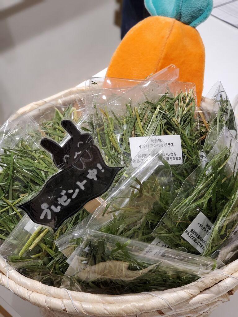 うさぎブログ うさぎのしっぽ公式ブログ 日々しっぽ ごほうび牧草 イタリアンライグラス