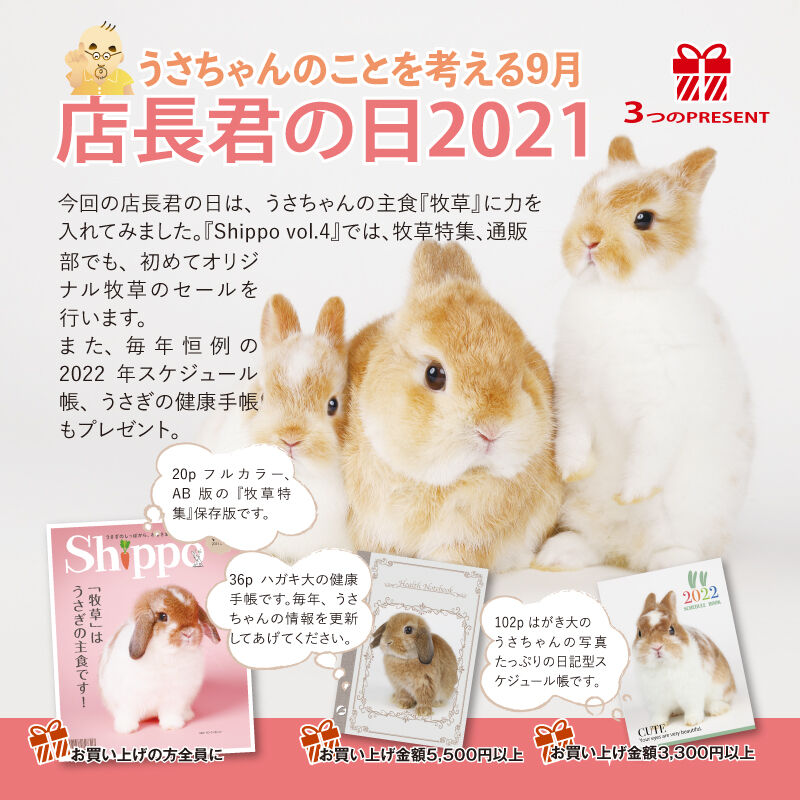 ブロークンオレンジのうさちゃん : うさぎブログ うさぎのしっぽ