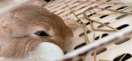 清水ブログ4