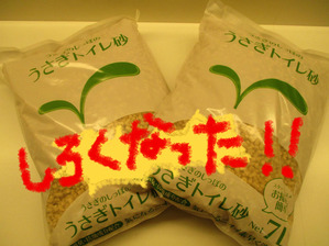 BlogPaint