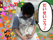 BlogPaint