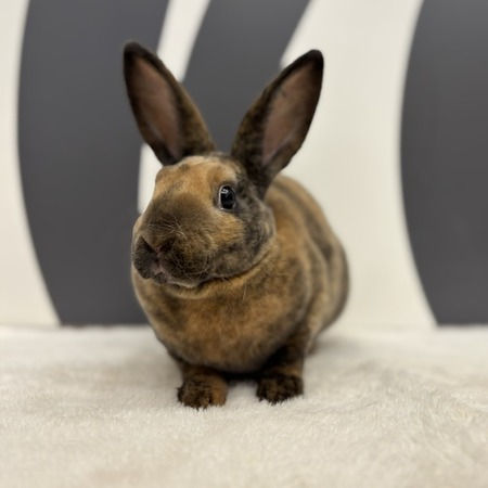 IMG_6064