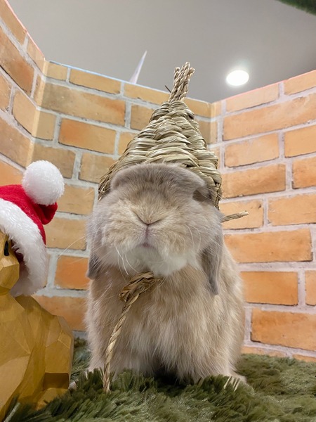 SNOW_20241219_060637_203