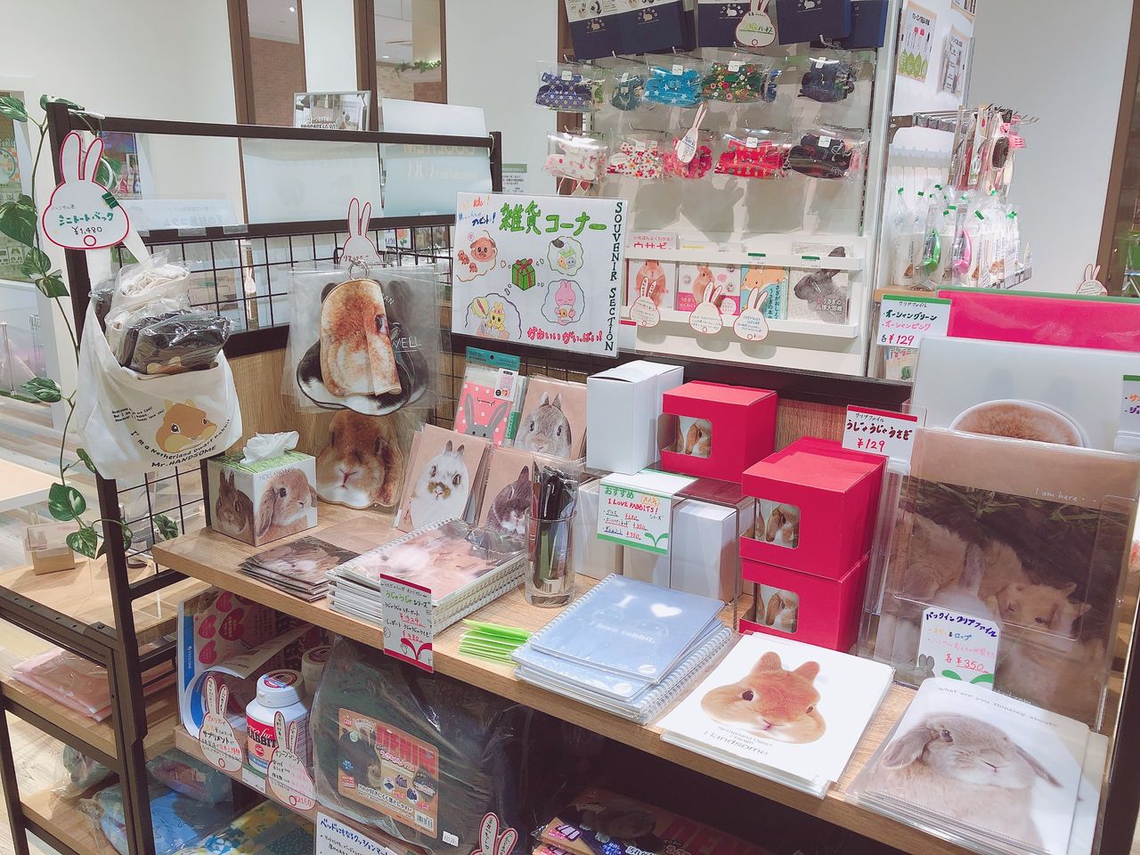 うさぎ にぎり