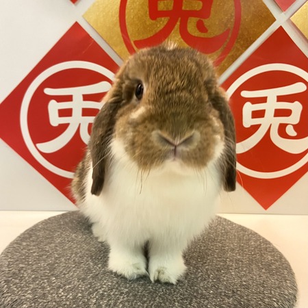 B1398A3F-C0A5-4158-BC92-A326FED49B7B