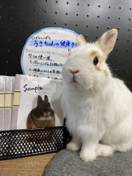 A95F7E85-9BB1-49C2-8096-7BBF3BD1ADED