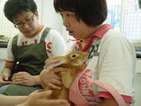 blog0627-3
