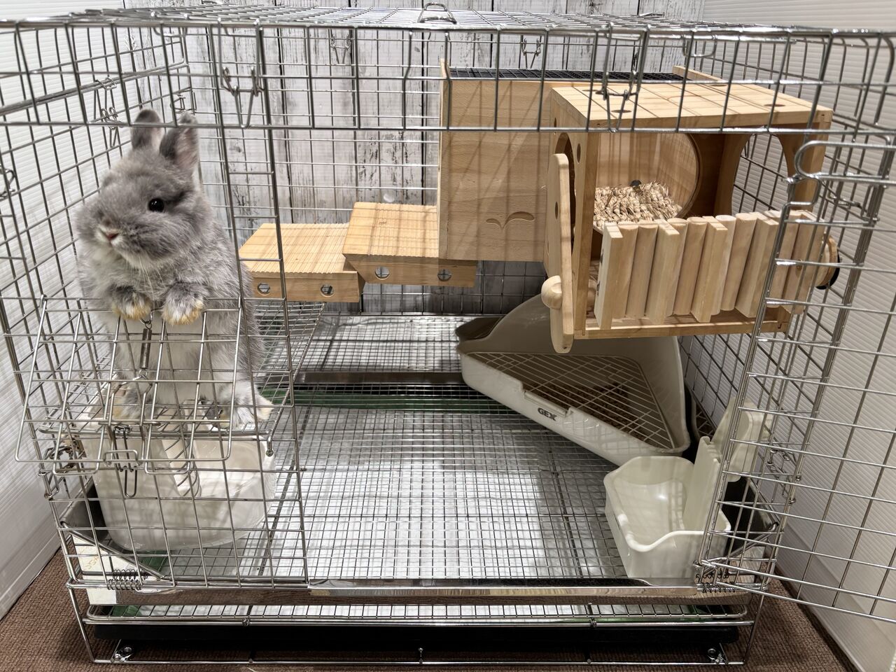 おすすめのケージレイアウト！ : うさぎブログ うさぎのしっぽ公式