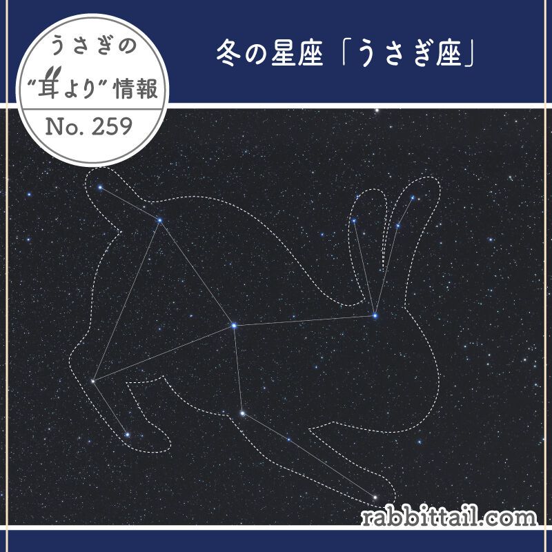 うさぎの耳より情報 No.259 冬の星座「うさぎ座」 : うさぎブログ