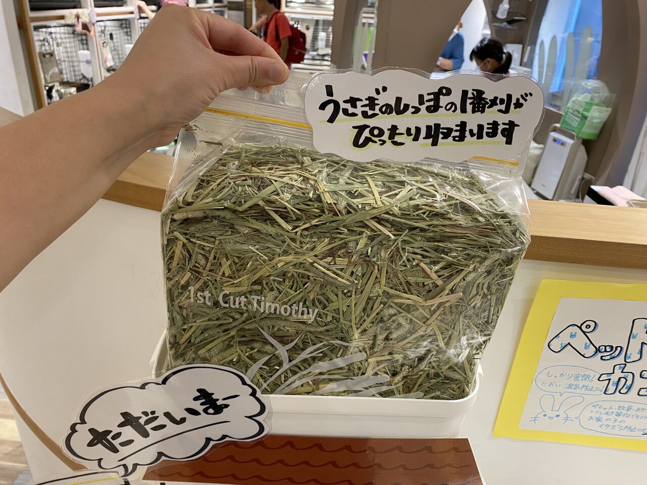 チモシーのお家！ : うさぎブログ うさぎのしっぽ公式ブログ「日々しっぽ」