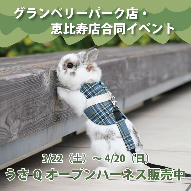 うさこ様　オーダー専用ページ うさこ様 オーダー専用ページ