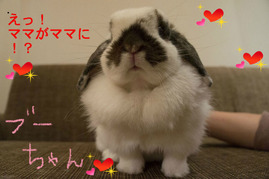 BlogPaint