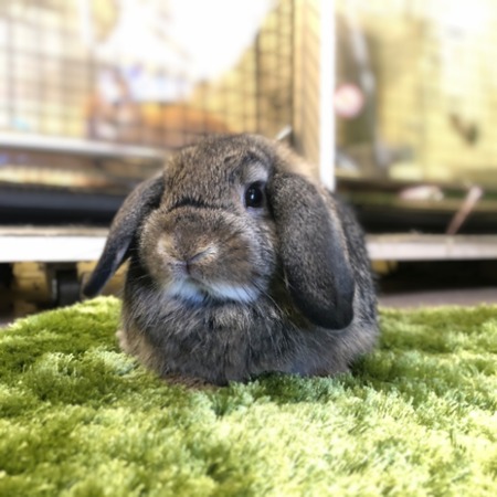 796110C7-2DA8-4758-B6DA-50847C2FDBFF