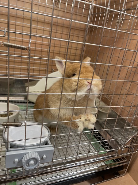 096F61E4-8984-464A-805C-6365A86C9B4F