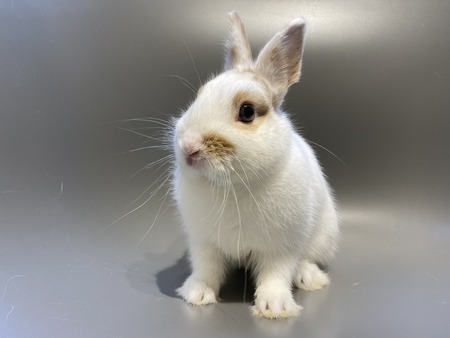 �֥�����