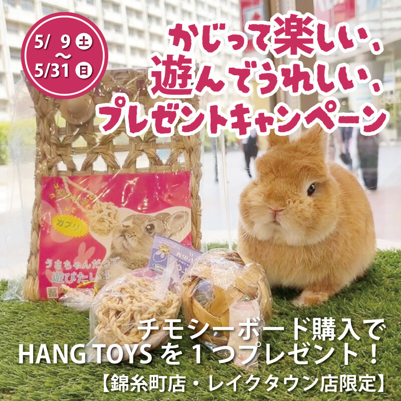 ご存じですか？HANG TOYSシリーズ : うさぎブログ うさぎのしっぽ公式