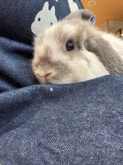 ¥Ö¥í¡¼¥¯¥ó¥¹¥¯¥ï¥ì¥ë