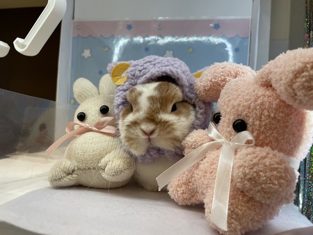 AE3C5406-C3DB-4BD6-BC06-0A2F50BA2335