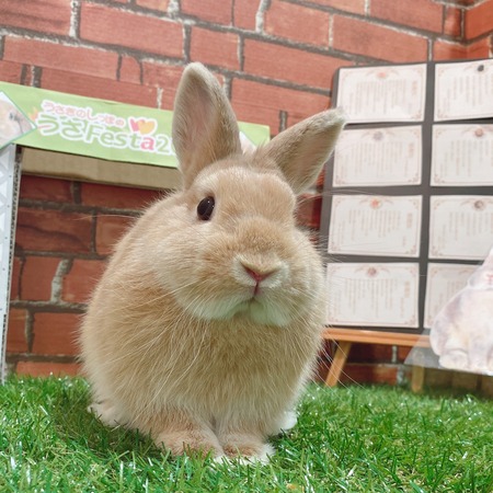 30198FAE-320C-4D69-A732-11D7D1FB7FD3