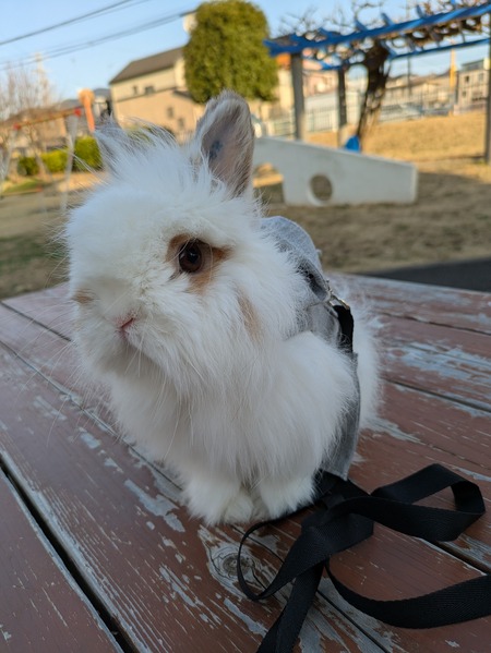 PXL_20250314_071317381