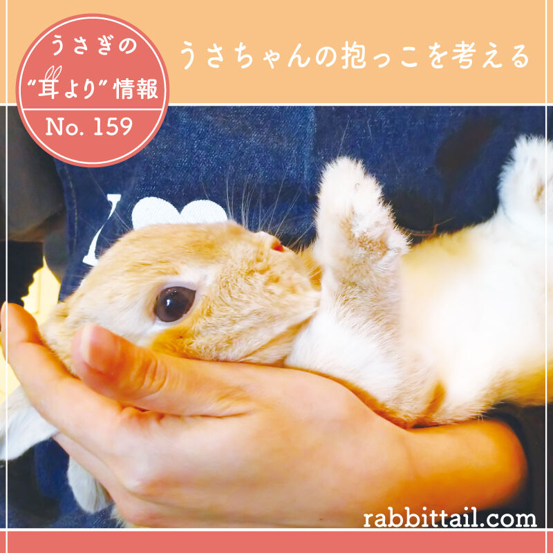 うさぎブログ うさぎのしっぽ公式ブログ 日々しっぽ うさぎの耳より情報 No 159 うさちゃんの抱っこを考える