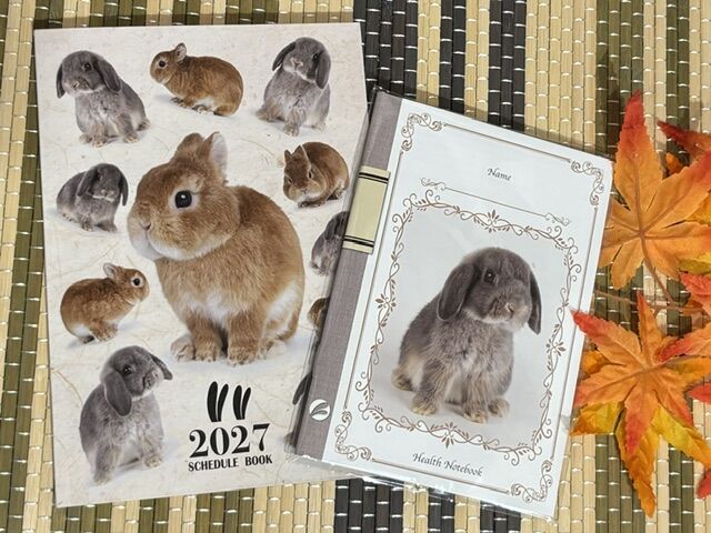 セールまであと1週間！ : うさぎブログ うさぎのしっぽ公式ブログ