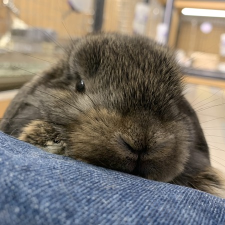 5A4E89F9-1DA0-4A1C-BEF0-D4EF70023E87