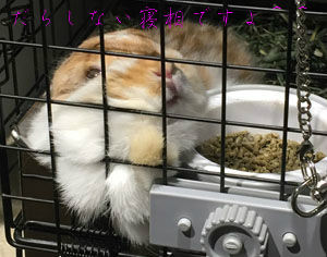 BlogPaint