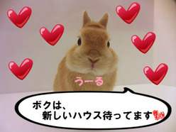 BlogPaint