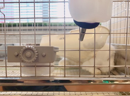 12F2949F-B650-44CE-ABDB-FEFB83DF05EC