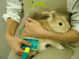 42b2ec8c.gif