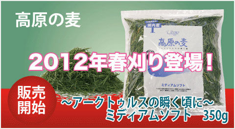 むぎ
