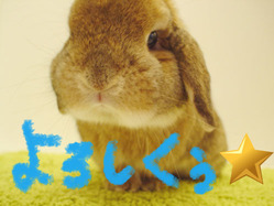 BlogPaint