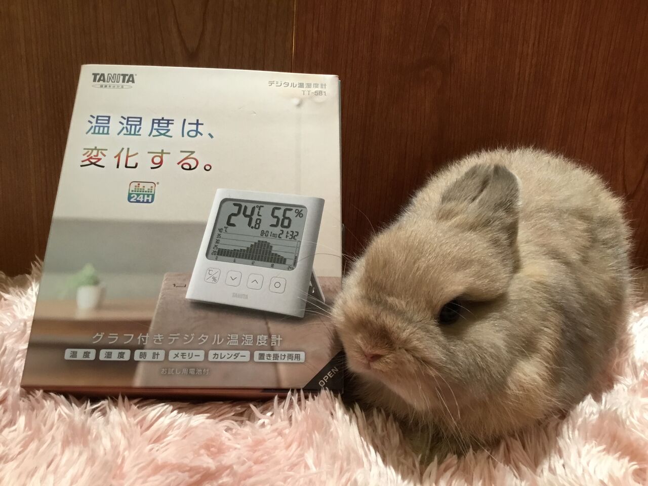 うさぎブログ うさぎのしっぽ公式ブログ 日々しっぽ 今日は温度計の日 うさぎブログ うさぎのしっぽ公式ブログ 日々しっぽ 今日は温度計の日