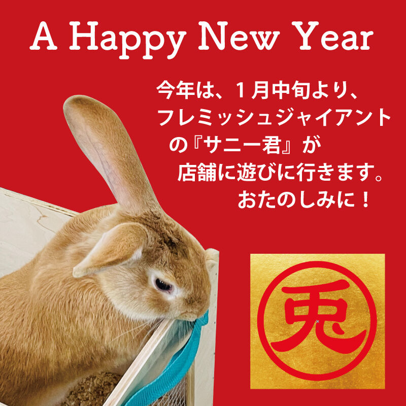 新・アイドルお名前決定 : うさぎブログ うさぎのしっぽ公式ブログ