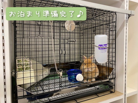 CollageMaker_20211116_155613810