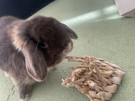 5E5D3EB8-38F2-499F-949E-5B5A4878B7FB