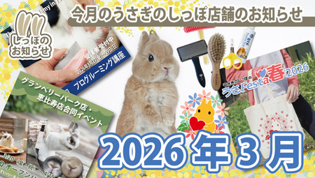 うさぎのしぽの2026年3月のお知らせ