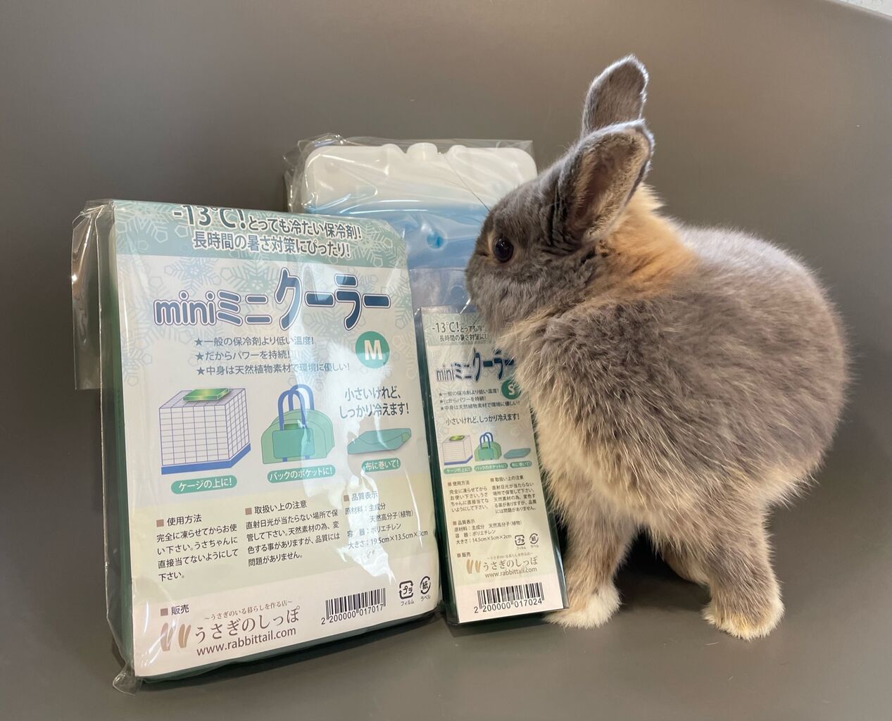 うさぎブログ うさぎのしっぽ公式ブログ 日々しっぽ お出かけの時は保冷剤を